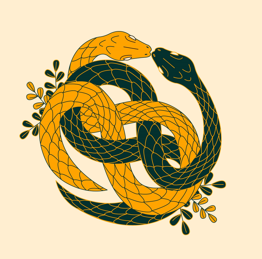 The 8 Most Typical Snake Symbols in Dreams With Explanation 