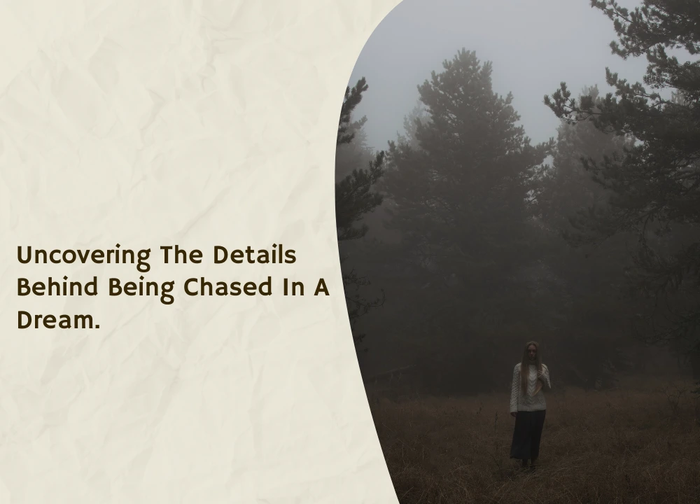 Uncovering the details behind being chased in a dream