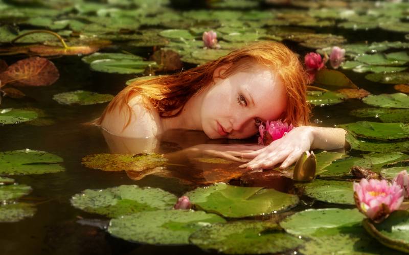 Dreaming about water lily