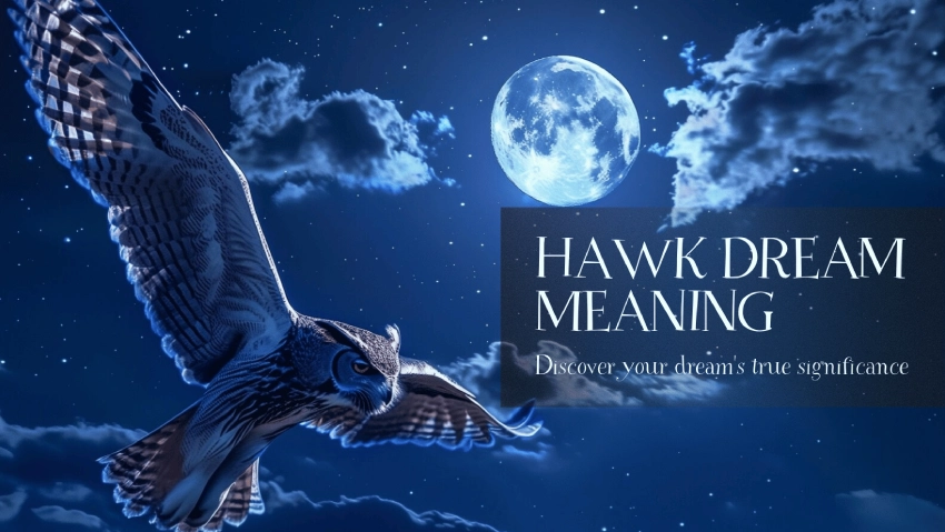 Hawk Dream Meaning